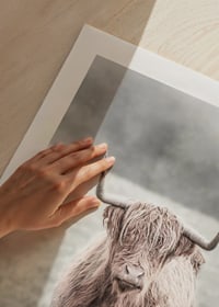 Fotografisk närbild av långhårig highland-ko på äng-9