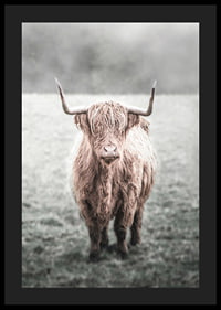 Fotografisk närbild av långhårig highland-ko på äng-4