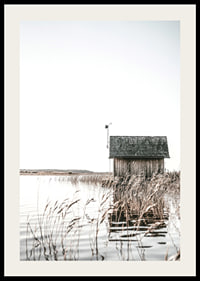 Motif photographique d'un chalet en bois au bord d'une roselière et d'un lac calme-2