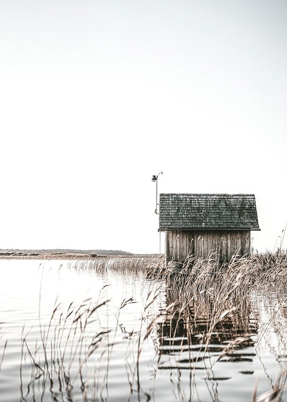 Motif photographique d'un chalet en bois au bord d'une roselière et d'un lac calme-12