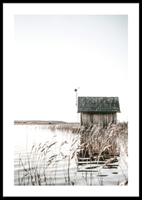Motif photographique d'un chalet en bois au bord d'une roselière et d'un lac calme-0