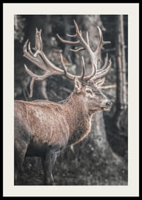 Fotorealistisk kronhjort med store gevirer i et skovmiljø-2