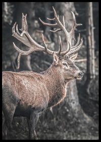 Cerf rouge photoréaliste avec de grands bois dans un environnement forestier-6