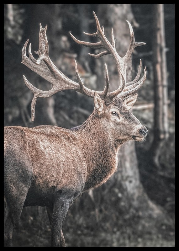 Cerf rouge photoréaliste avec de grands bois dans un environnement forestier-12
