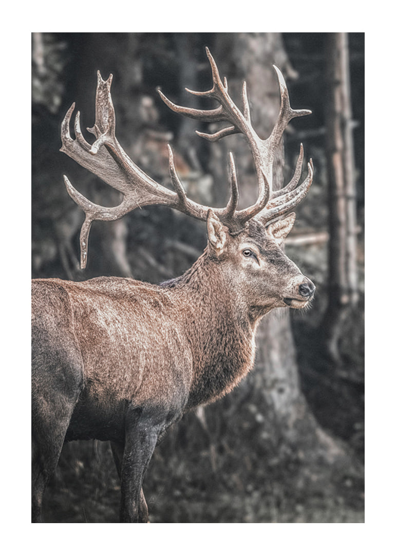 Cerf rouge photoréaliste avec de grands bois dans un environnement forestier-12