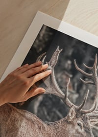 Cerf rouge photoréaliste avec de grands bois dans un environnement forestier-9