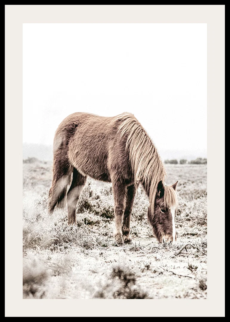 Photographic brown horse grazing in field in soft beige tones-12
