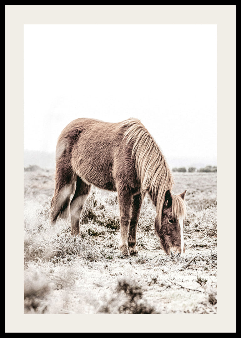 Fotografinis rudas arklys, besiganantis lauke, švelniai smėlio spalvos atspalviais-12