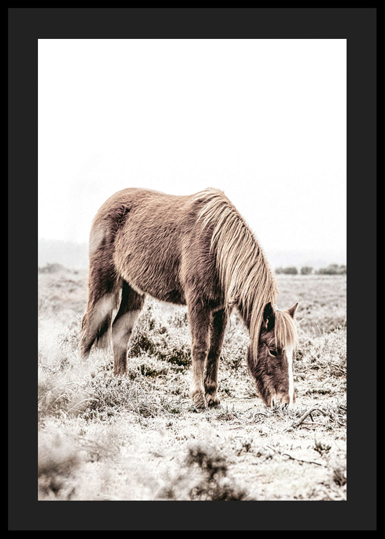 Fotografinis rudas arklys, besiganantis lauke, švelniai smėlio spalvos atspalviais-12