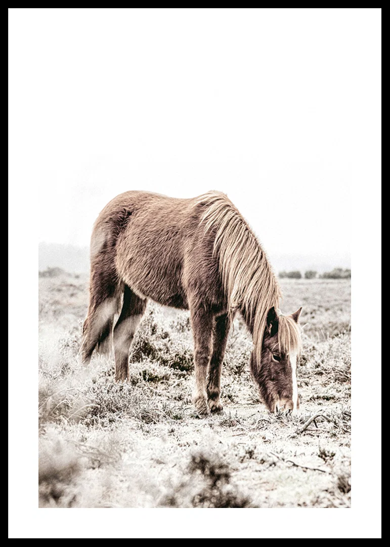 Photographic brown horse grazing in field in soft beige tones-12