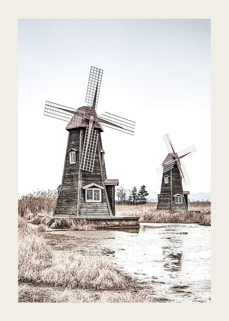Valokuva kahdesta vanhasta puisesta tuulimyllystä ruo'on ja veden äärellä-12