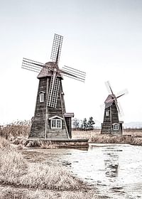 Old Wind Mills-3