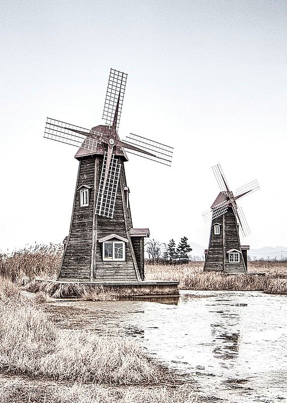 Old Wind Mills-12