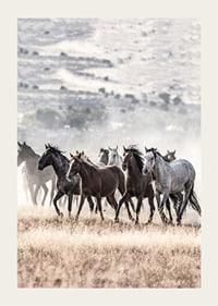 Photograph of wild horses moving across dry grass field-3
