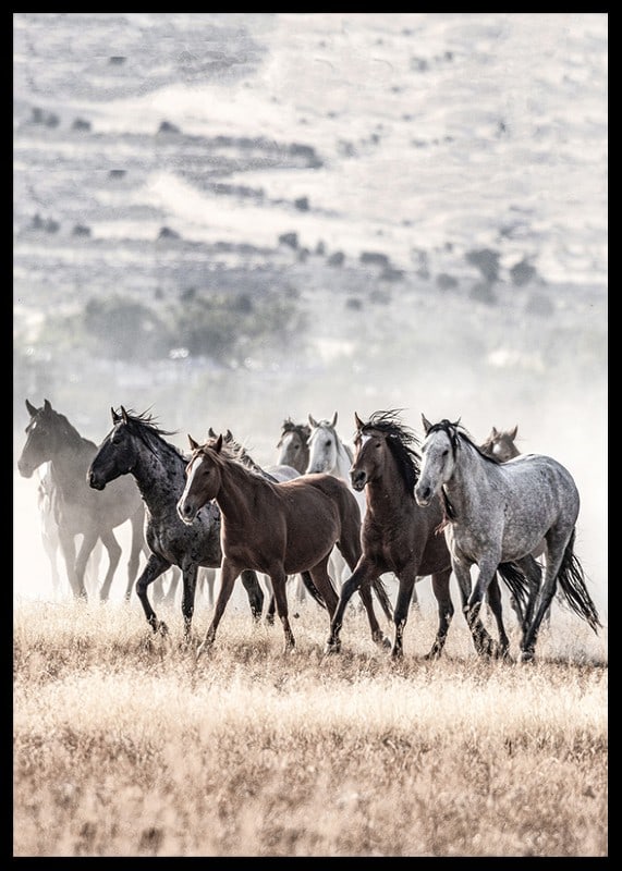 Photograph of wild horses moving across dry grass field-12