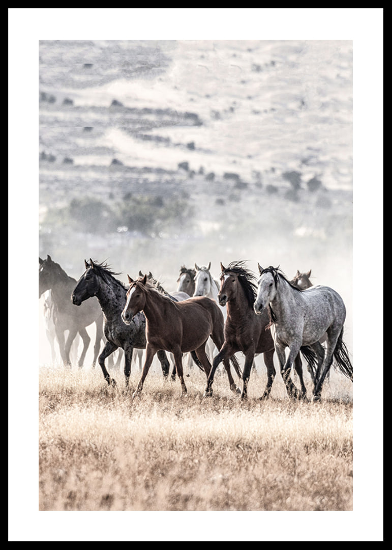 Photograph of wild horses moving across dry grass field-12