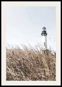 Fotografi av vitt fyrtorn bakom högt beigegräs mot ljus himmel-2