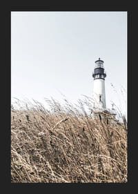 Fotografi av vitt fyrtorn bakom högt beigegräs mot ljus himmel-5