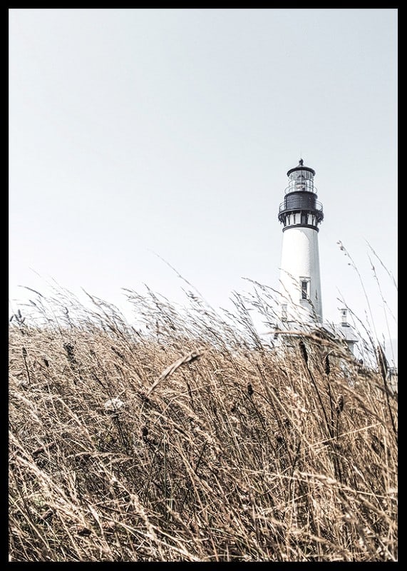 Fotografía de un faro blanco detrás de un césped alto de color beige contra un cielo brillante.-12