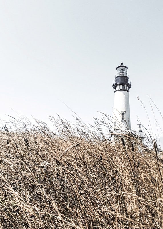 Fotografía de un faro blanco detrás de un césped alto de color beige contra un cielo brillante.-12
