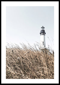 Fotografía de un faro blanco detrás de un césped alto de color beige contra un cielo brillante.-0