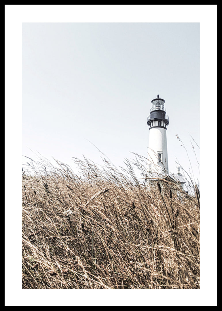 Fotografía de un faro blanco detrás de un césped alto de color beige contra un cielo brillante.-12