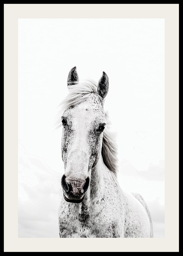 Close-up of white horse with light background, photographic style-12