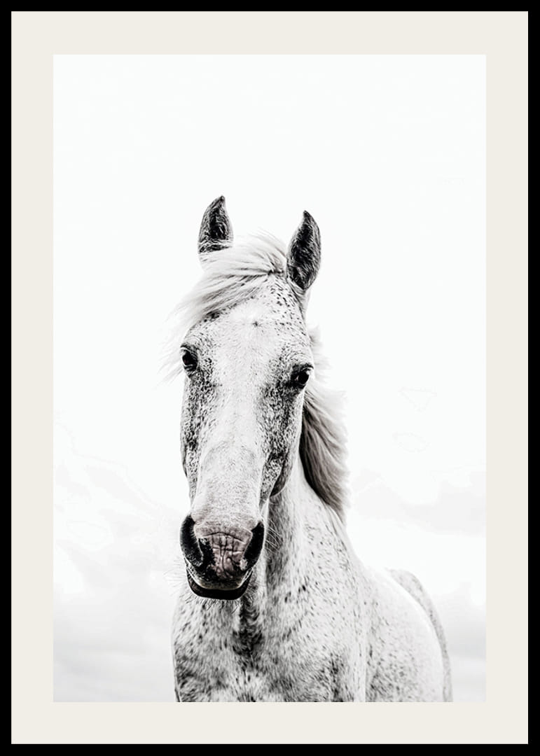 Nærbilde av hvit hest med lys bakgrunn, fotografisk stil-12