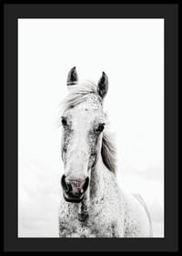 Nærbilde av hvit hest med lys bakgrunn, fotografisk stil-4