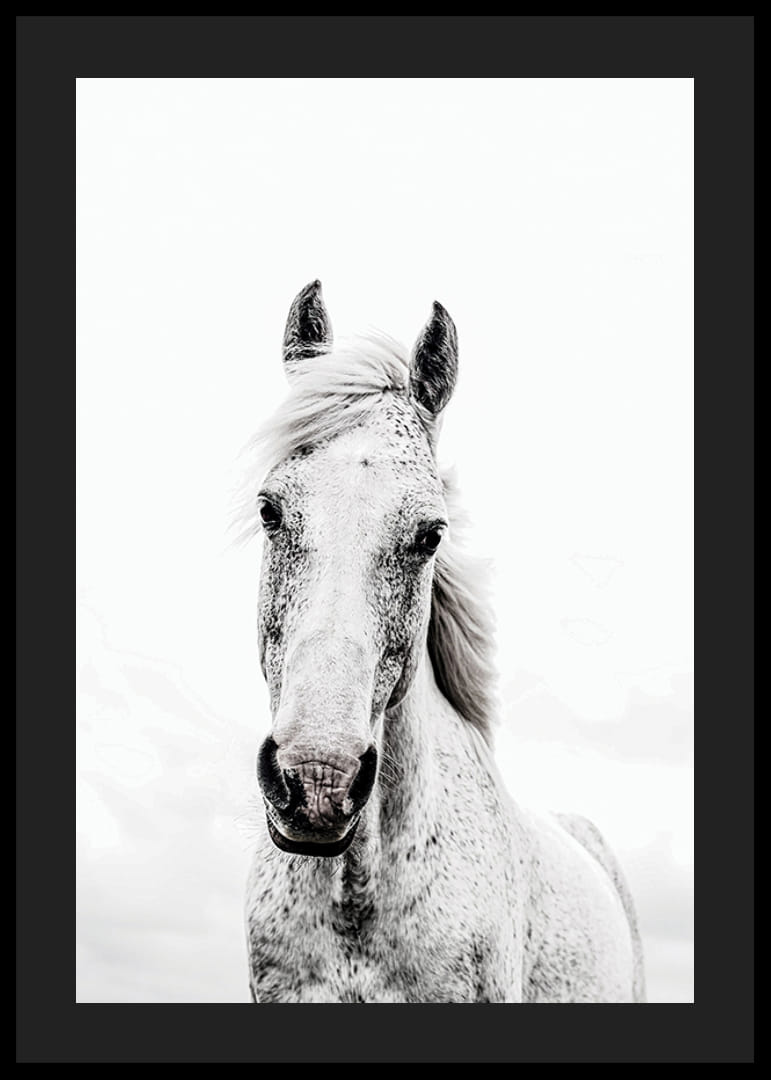 Nærbilde av hvit hest med lys bakgrunn, fotografisk stil-12