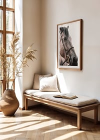 Close-up of brown horse with halter against light background-8