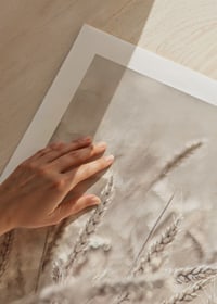 Close-up of wheat field with ears of wheat in light beige tones, photographic-9