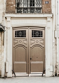 Photograph of classic brown gate in Paris with decorative details-7