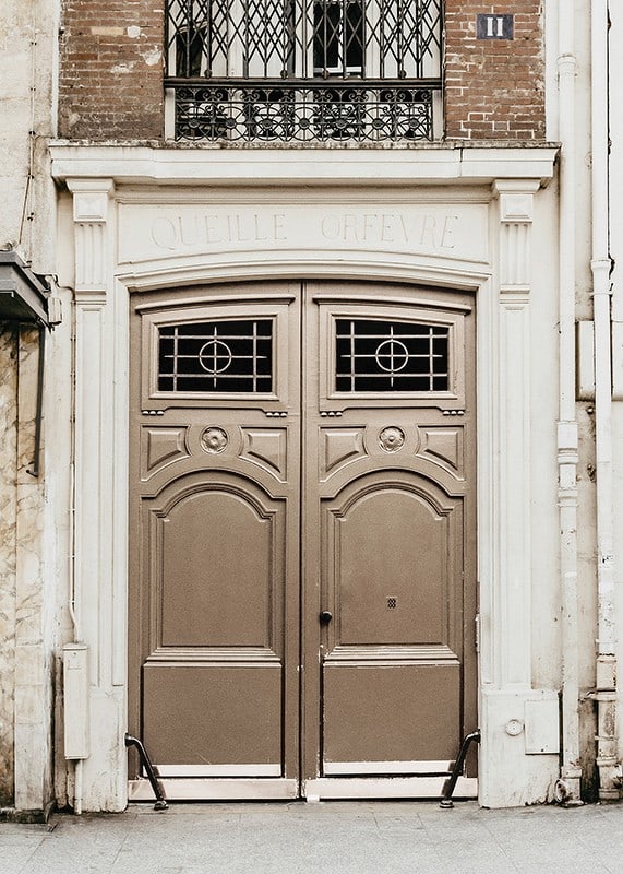 Photograph of classic brown gate in Paris with decorative details-12