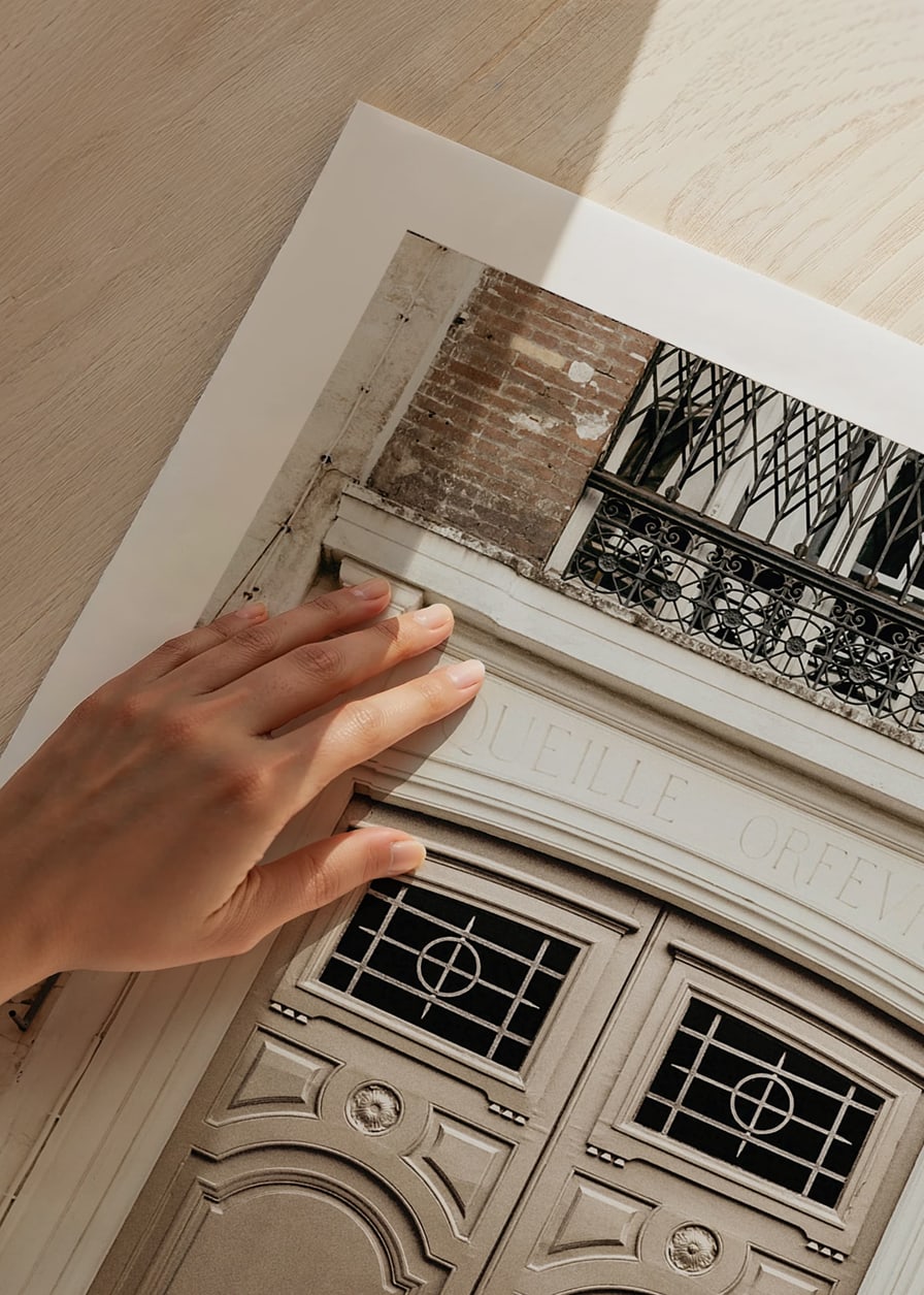 Photograph of classic brown gate in Paris with decorative details-12