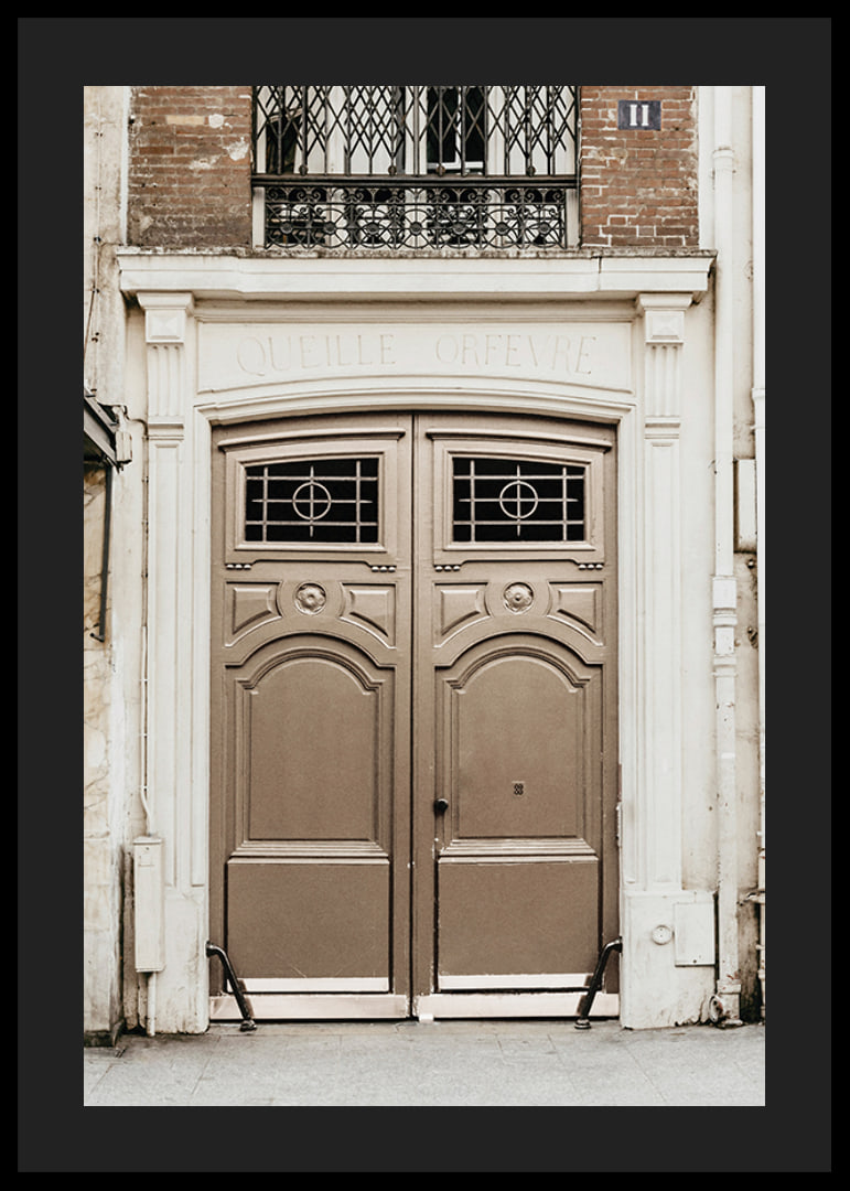 Photograph of classic brown gate in Paris with decorative details-12