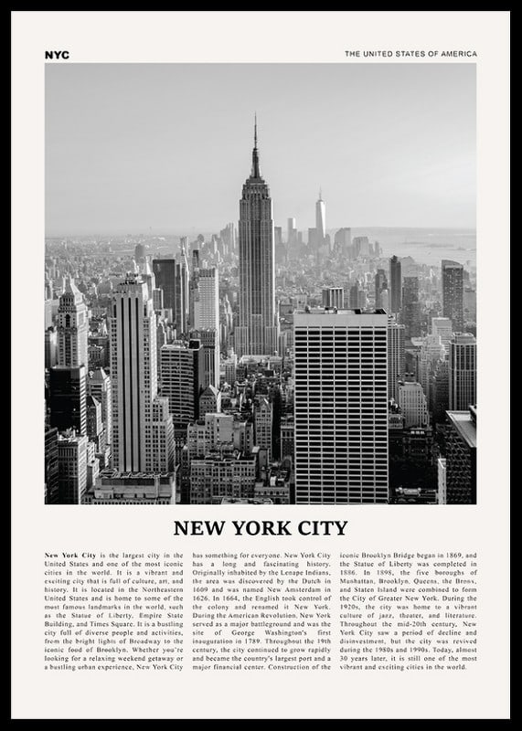 Svartvit vy över Manhattans skyline med Empire State Building-12