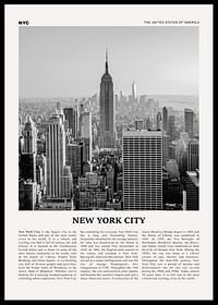 This Is New York City-0
