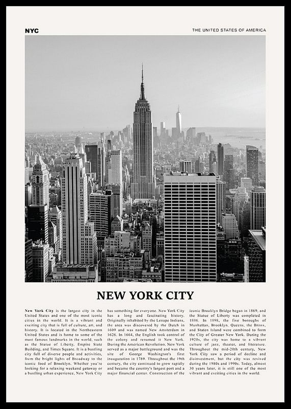 This Is New York City-12
