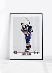 Växjö Lakers Robert Rosén #87-4