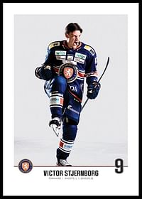 Växjö Lakers Victor Stjernborg #9-0