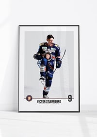 Växjö Lakers Victor Stjernborg #9-4