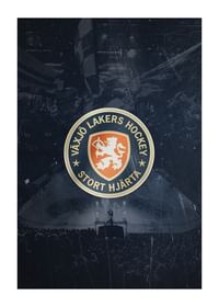 Växjö Lakers VLH Logo Blue-1