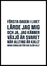 Växjö Lakers VLH No3-2
