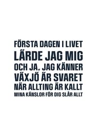Växjö Lakers VLH No3-3