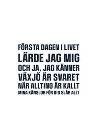 Växjö Lakers VLH No3-1
