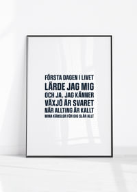Växjö Lakers VLH No3-4