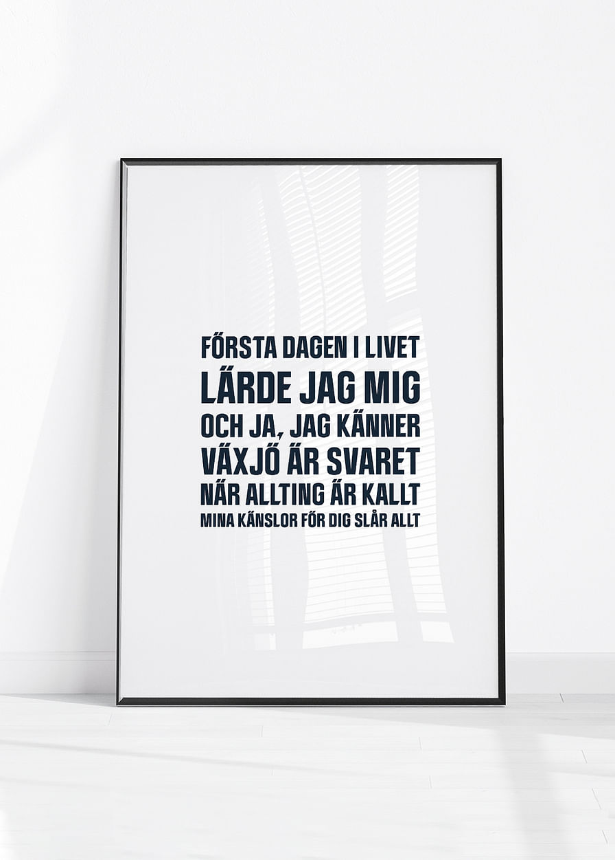 Växjö Lakers VLH No3-12