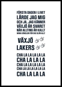 Växjö Lakers VLH No4-2