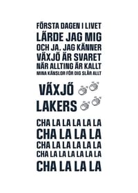 Växjö Lakers VLH No4-3